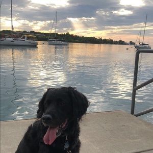 Meet your Posher, Paige